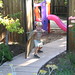 Joy Asher Photo 4