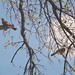 Robin Swift Photo 18