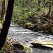 Michelle Agnew Photo 21