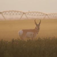 Tom Schultz Photo 5