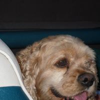 Jane Ebert Photo 22