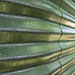 Jane Rainwater Photo 8