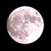 Stacy Moon Photo 27