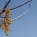 Tina Berry Photo 15