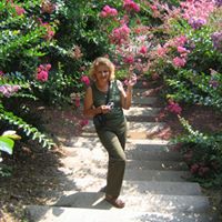 Cindy Mcgee Photo 35