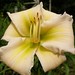 Nancy Britz Photo 4