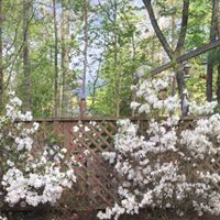 Marilyn Atkinson Photo 36