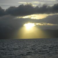 Gene Lane Photo 20