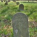 Sylvester Sharp Photo 7