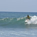 Neil Goodman Photo 39