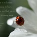 Flora Sparks Photo 6