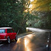 Ray Gilbert Photo 43