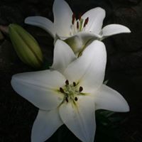 Katherine Pope Photo 37