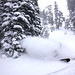 Jason West Photo 16