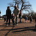 Julia Flint Photo 10