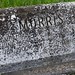 Martha Morris Photo 27