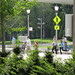 Shari Jacobs Photo 15