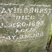 David Marcy Photo 9