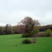 Douglas Fields Photo 23