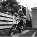 Carol Suzuki Photo 19