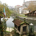Ernesto Padron Photo 20