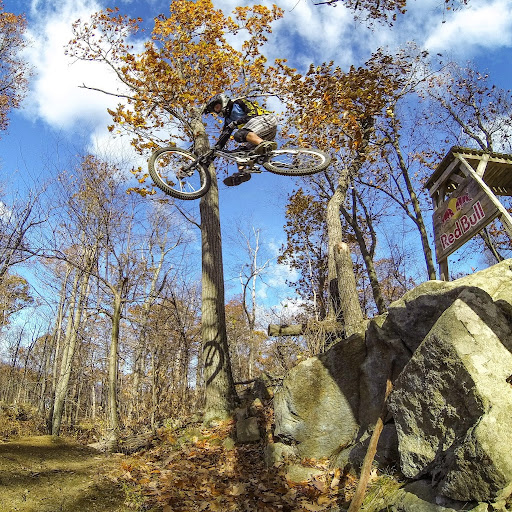 Anthony Rossi Photo 9