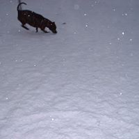 Tracy Gilliam Photo 36