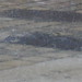 Marie Flood Photo 17