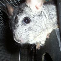 Jeanne Summers Photo 4