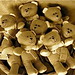 Teddy Hunter Photo 12