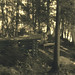 Elizabeth Hord Photo 6