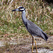 Michelle Heron Photo 13