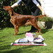 Heather Dionne Photo 16