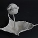 Ming Tsang Photo 14