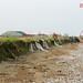 Patricia Shores Photo 17