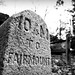 Shelly Marker Photo 14