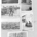 Bob Musgrove Photo 10