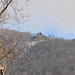 Laurel Plumb Photo 10