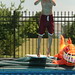 Ryan Jarrett Photo 41