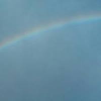 Carolyn Blankenship Photo 18