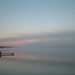Dawn Anglin Photo 7