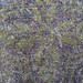 Traci Small Photo 8