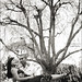 Tiffany Wynn Photo 34