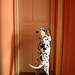 Alma Gardner Photo 13