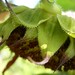 Colleen Withers Photo 4