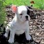 Suzie Childers Photo 8