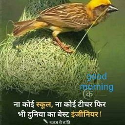 Rakesh Patel Photo 52