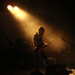 Steven Tree Photo 10