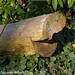 Deborah Wood Photo 32