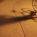 David Wesolowski Photo 27